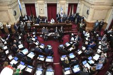 el senado abrira a mediados de enero la discusion de jubilaciones especiales, alquileres y gondolas