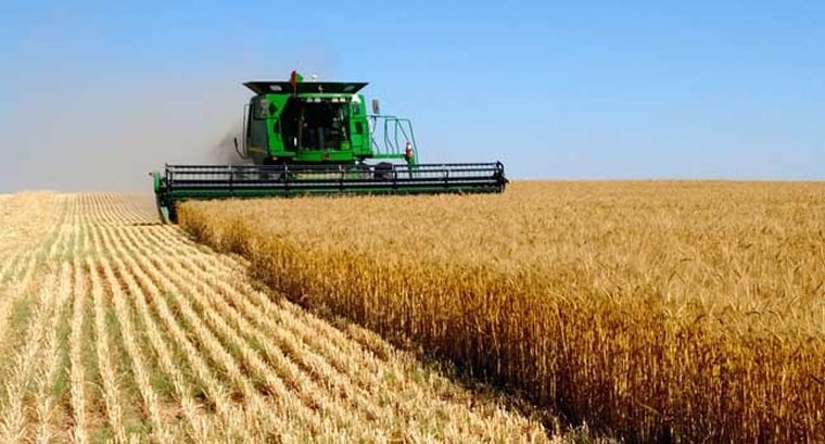 Con la baja de retenciones, podemos hablar de un efecto inmediato sobre precios. Con la baja de retenciones, podemos hablar de un efecto inmediato sobre precios.