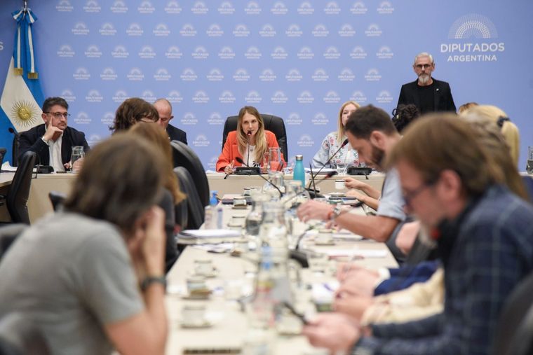 La comisión de Previsión y Seguridad Social se reunió en el Anexo A de Diputados Foto: Prensa Diputados