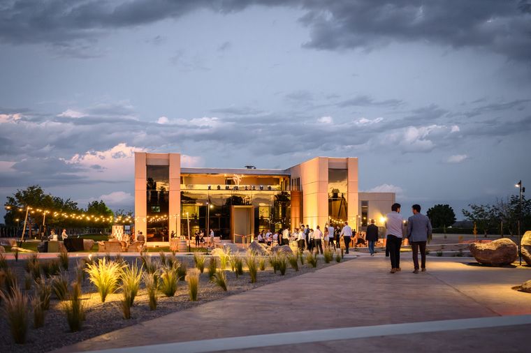 La belleza de Viña Cobos: Molinos es dueña del 50% de esta bodega. Foto: FOTO/Viña Cobos