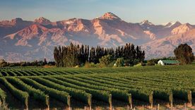 El valle de Uco.