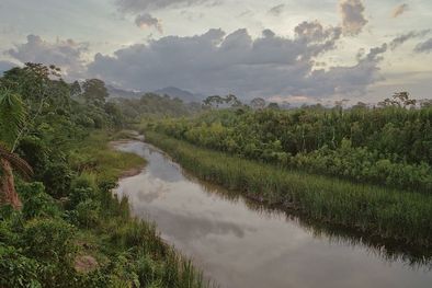 MDZol | La Amazonía abarca más del 40% de todo el territorio de Bolivia. Foto: GETTY IMAGES