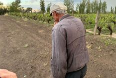 El Gobierno mendocino destinará los fondos para la recomposición productiva de los afectados por el granizo, la helada y el Zonda. Foto: Municipalidad de San Rafael