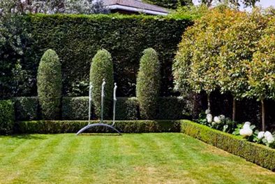 MDZol | Las malezas anuales se pueden quitar con la mano porque tienen raíces poco profundas, todo lo contrario con las malezas perennes, que por el desarrollo de sus raíces hace falta un buen rastrillo para quitarlas. Foto: Future