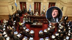 Javier Milei perdió el primer round en el Congreso. Javier Milei perdió el primer round en el Congreso.