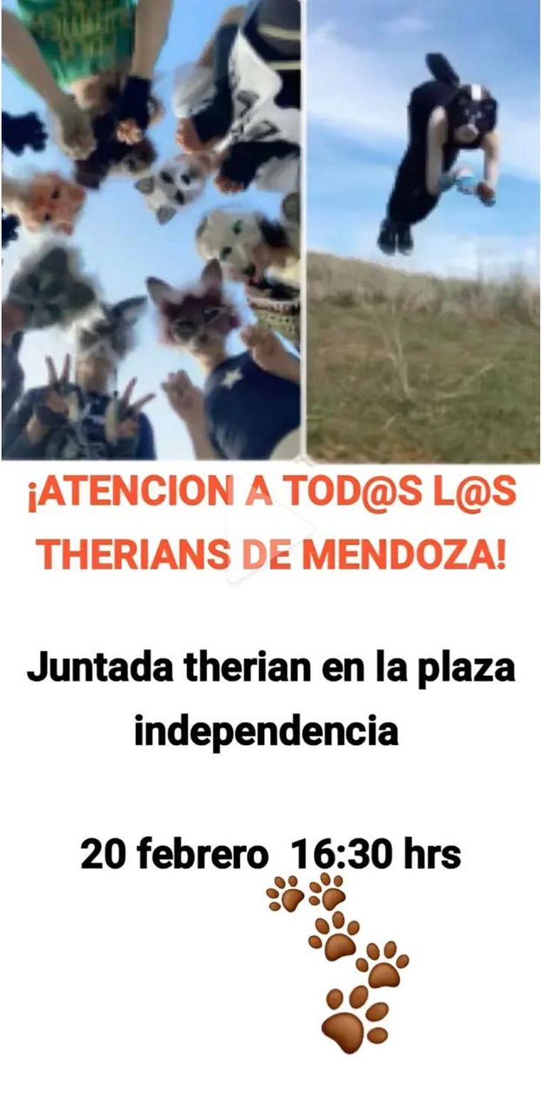 La convocatorio a la juntada therian en Mendoza comenzó en TikTok. 