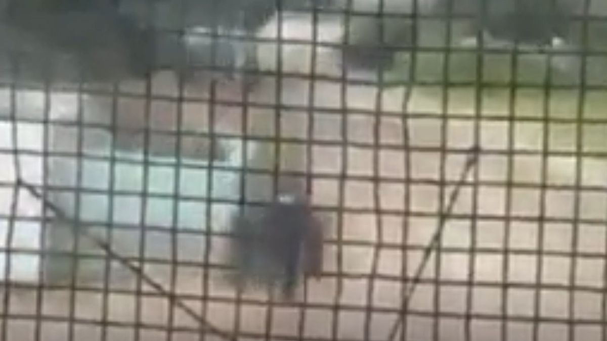 Video impactante: un policía corrió con todas sus fuerzas y salvó a un niño de 3 años de ser arrollado por un tren