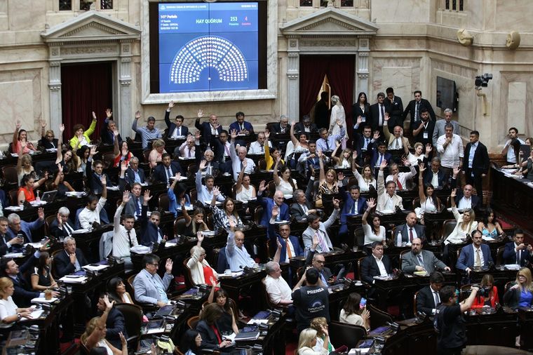 Diputados aprobó el anterior paquete de leyes, pero en el tratamiento punto por punto Javier Milei dio la orden de retirar la ley ómnibus Foto: Noticias Argentinas