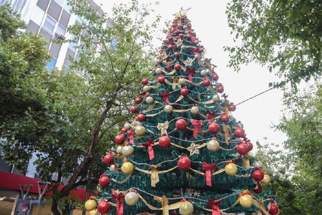 La Ciudad de Mendoza presentó su agenda navideña con shows, ferias, actividades solidarias y el clásico encendido del árbol en plaza Independencia. La Ciudad de Mendoza presentó su agenda navideña con shows, ferias, actividades solidarias y el clásico encendido del árbol en plaza Independencia.