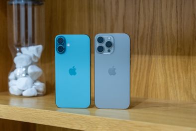 MDZol | apple-iphone-16-plus-vs-iphone-1