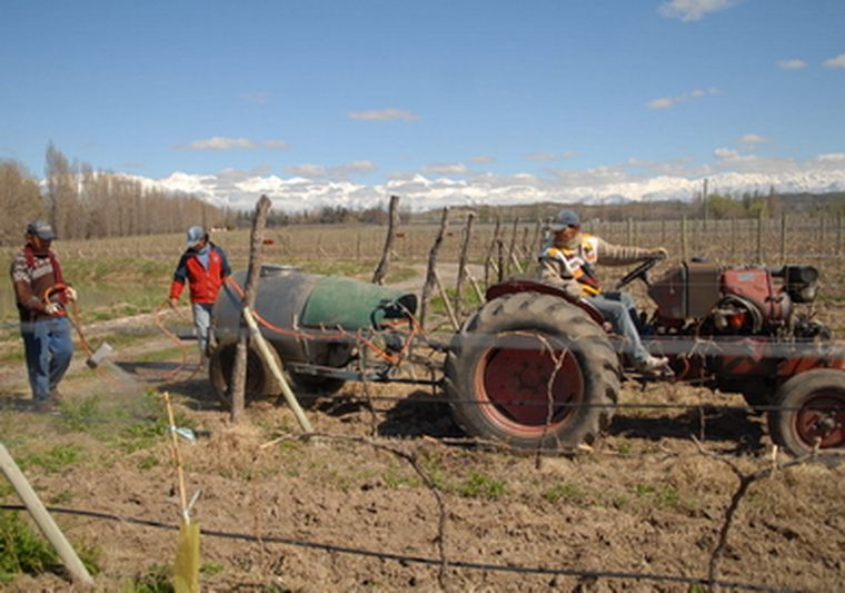 El organismo se encargará de controlar prácticas como el uso de fertilizantes y pesticidas. Foto: Ulises Naranjo / MDZ.