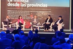 Ministros de mineria de las provincias productoras Foto: Sergio Lanzafame/MDZ