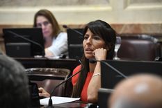Una foto de Verasay en una sesión presencial. Ahora, en cambio, se debate a distancia. Una foto de Verasay en una sesión presencial. Ahora, en cambio, se debate a distancia.