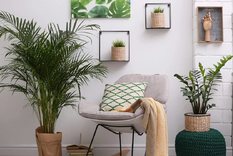Las plantas ayudan a sumar un toque de color y de vitalidad a cualquier espacio de tu casa. Foto: Unsplash