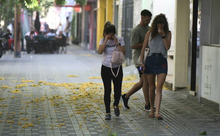 Por el viento Zonda, clases suspendidas. Foto: Maximiliano Ríos / MDZ
