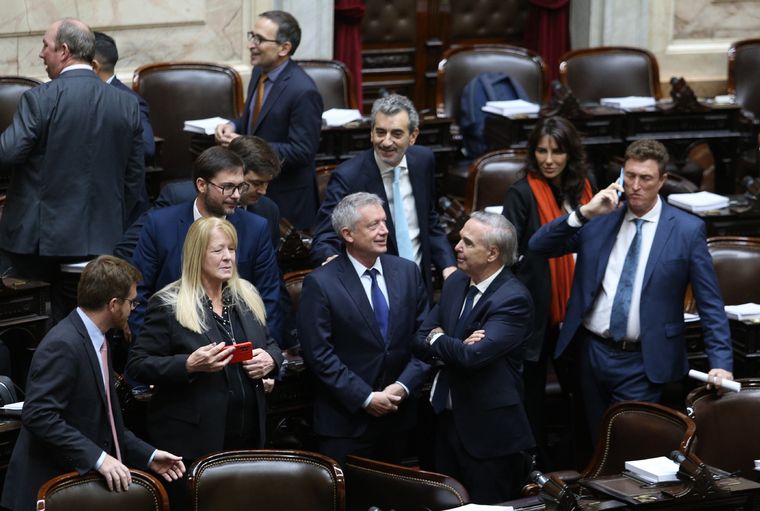 Diputados y senadores tienen una herramienta a su favor en caso de que Milei vete una ley salida desde el Congreso Foto: Noticias Argentinas