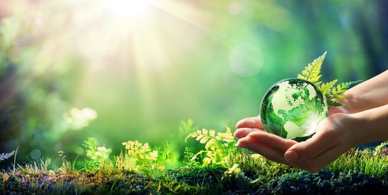 La sustentabilidad es una tendencia que crece Foto: Shutterstock
