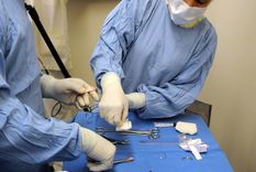 Foto: ALF PONCE / MDZ