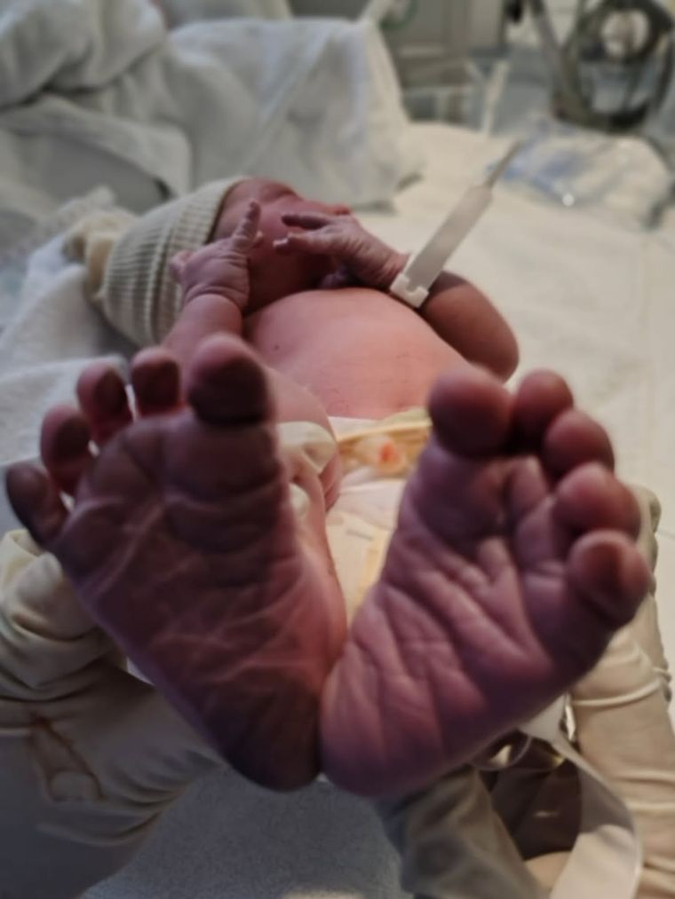 Faustino es el primer hijo de Eva y Gianluca. Faustino es el primer hijo de Eva y Gianluca.