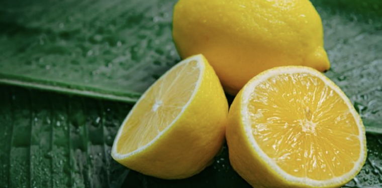 Los cítricos tienen cientos de propiedades y beneficios para tu salud Foto: Archivo