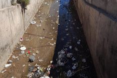 desde heladeras hasta sillones: sacaron 50 toneladas de basura de un zanjon