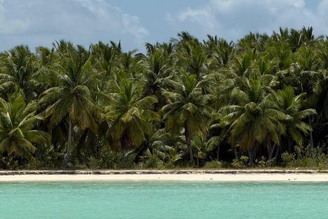 Isla Saona es uno de los puntos más visitados del Caribe. Isla Saona es uno de los puntos más visitados del Caribe.