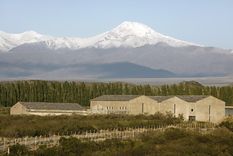 Bodega Atamisque. Foto: Gentileza