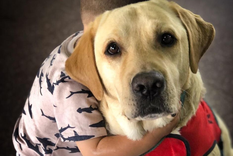 Los beneficios de convivir con un perro Foto: Bocalán Argentina