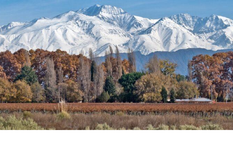 mendoza esta de moda: hay que consolidarlo, mejorarlo y no echarlo a perder