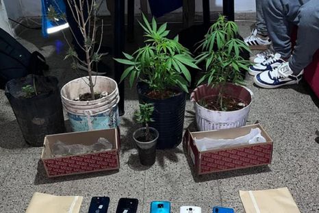 Dos hombres y dos mujeres fueron detenidos tras robar celulares en fiestas electrónicas Foto: NA Dos hombres y dos mujeres fueron detenidos tras robar celulares en fiestas electrónicas Foto: NA