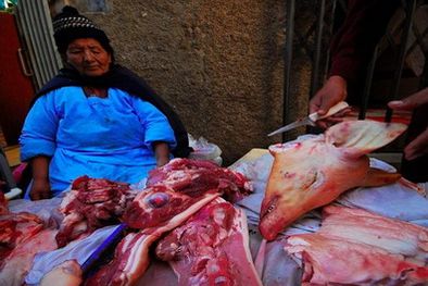 MDZol | La Dirección de Zoonosis aconseja comprar en lugares seguros. Foto: Publicada en Diario Firmat