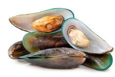 Mejillones Foto: shutterstock Mejillones Foto: shutterstock