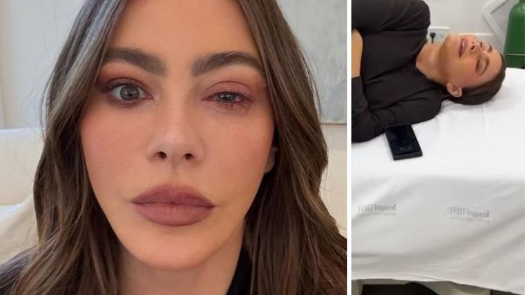 Esto fue lo que dijo Sofía Vergara en redes sociales.&nbsp;