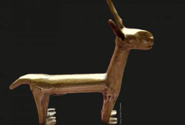 Parte del ajuar del niño del Aconcagua. Parte del ajuar del niño del Aconcagua.