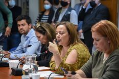 Foto: Diputados