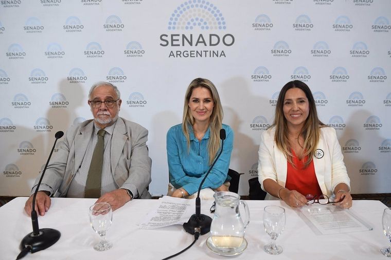 La senadora nacional Carolina Losada presentó esta semana el primer proyecto de ley para penar las falsas denuncias de violencia de género. Foto: X de @andreguacci