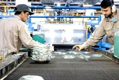 La empresa ha invertido en tecnología de vanguardia y procesos de producción eficientes para garantizar la calidad y la consistencia en cada uno de sus productos. Foto: Gentileza
