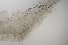 La condensación ayuda a la proliferación de hongos y moho. Foto: Estrusec