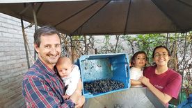 Un vino de garage supera a todos en un certamen internacional