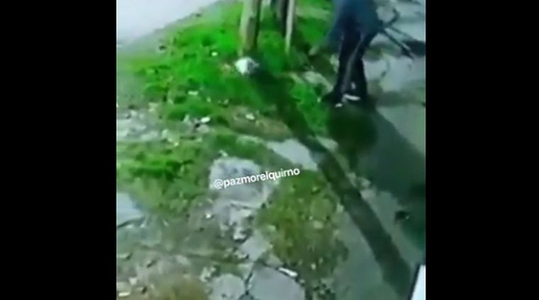 Un hombre se robó el conejo de una nena y generó indignación.