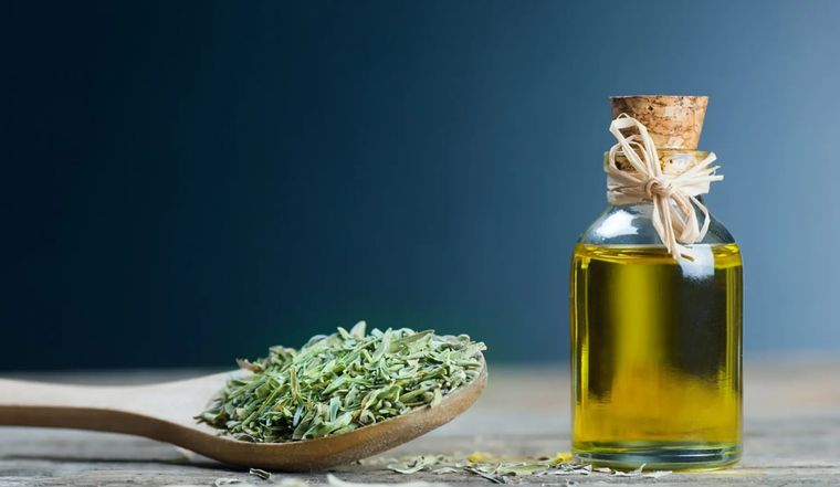 Sus beneficios incluyen propiedades expectorantes, antiinflamatorias y más. Foto: Archivo