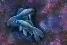 ¿como sera el mes de piscis? su efecto en cada uno de los signos