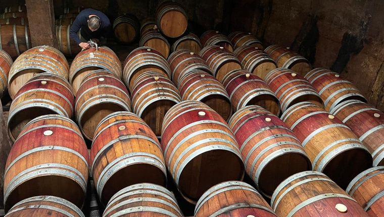 La bodega encontró su nicho entre el público caribeño Foto: Epsilon Cru Vineyards