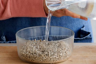 MDZol | Las semillas de lentejas: deben remojarse entre 4 y 8 horas: las de almendras, entre 8 y 12 horas; las de avena, cebada y centeno, entre 6 y 8 horas (echándole al agua un poco de vinagre o limón) y las de nueces, entre 4 y 8 horas, también con un poco de