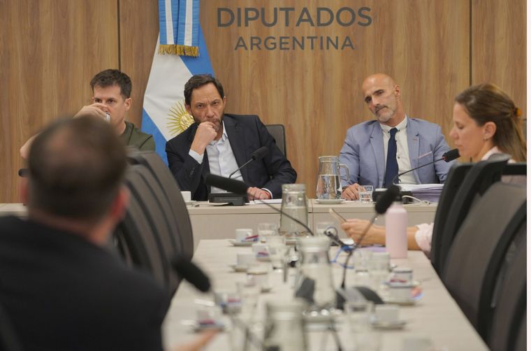 La comisión investigadora LIBRA presidida por el diputado nacional Maximiliano Ferraro.