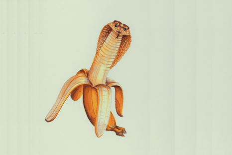 Test de personalidad Test de personalidad