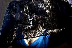 la gata en celo, el amor en clave de humor descarnado