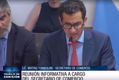 el secretario de comercio, matias tombolini, expuso en diputados