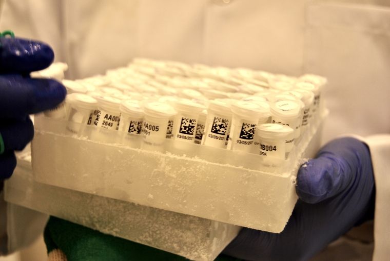 Fotografía de una parte de las miles de muestras de ADN que se conservan en el biobanco del Centro de Ciencia de Galápagos (GSC), el 3 de julio de 2023, en la isla San Cristóbal, la más oriental de las Islas Galápagos (Ecuador). EFE/ Fernando Gimeno Foto: EFE/ Fernando Gimeno