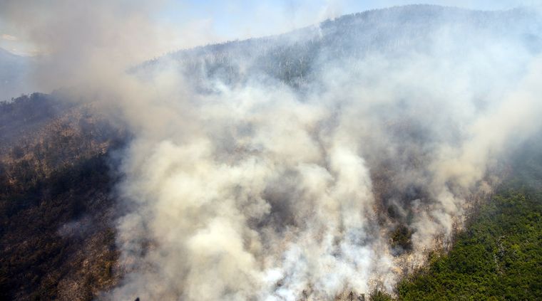 Múltiples focos de incendio afectan a los campos y áreas forestadas y se ven agravados por las altas temperaturas y la sequía. Foto: TELAM